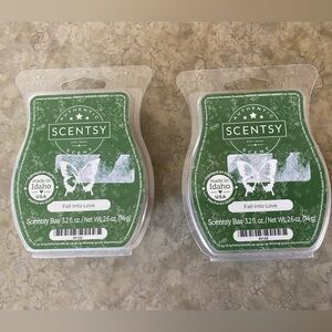 Scentsy Wax ~ Fall Into Love (2)
